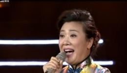 京剧《对花枪》选段下载 - 袁慧琴经典演唱，韵味十足下载