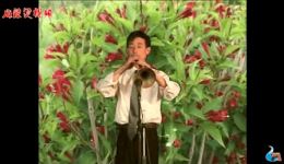 三匹枣骝马