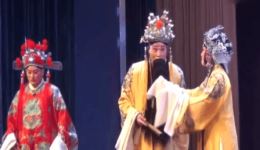 豫剧《打金枝》全场高清资源刘忠河经典演绎，豫东调传承佳作在线观看下载