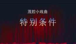 特别条件