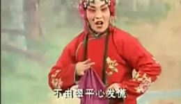 曲剧《小包公》选段在线观看｜李美玲主演经典戏曲，高清资源速取下载