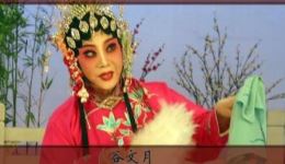 牡丹仙子