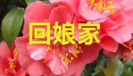 回娘家