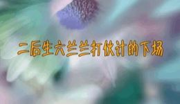 二人台经典剧目《二后生六兰兰打伙计的下场》在线观看下载，二后生六兰兰精彩演绎下载