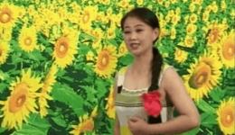 劝喝酒