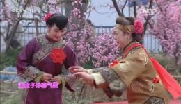 目连戏《上寿》高清完整版下载 - 安徽省石台县黄梅戏剧团经典演绎