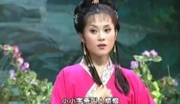 黄梅戏《灵姑戏虎》全场高清下载｜茆建琳主演乡村喜剧经典，智慧斗恶趣味十足下载