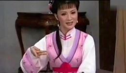 风雨大观园-娘亲不解女儿心