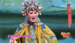 杨门女将