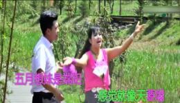 彼此相思十二月