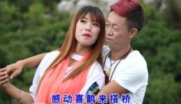 牛郎只爱七仙女