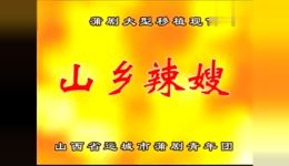 蒲剧《山乡辣嫂》选段在线观看赵高平、景雪变精彩演绎乡村故事下载