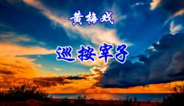 黄梅戏《巡按宰子》全剧在线观看 - 正版高清戏曲资源下载 黄梅戏《巡按宰子》全剧在线观看 - 正版高清戏曲资源下载