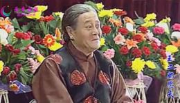 王二奶思夫