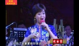枫洛池苦乐村官官鹅情歌
