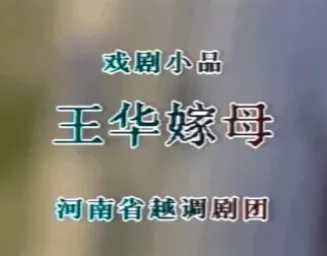 越调经典《王华嫁母》申凤梅领衔主演，在线观看下载，品味孝道温情戏曲盛宴