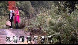 踏踏实实奔小康