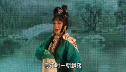 黛玉葬花