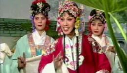 卧龙奔丧
