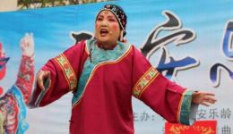 坠剧《小姑贤》高清下载｜王四群魏玉红主演，经典家庭伦理好剧不容错过