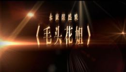 永康醒感戏《毛头花姐》全集下载，国家级非遗经典剧目，童养媳传奇故事完整呈现