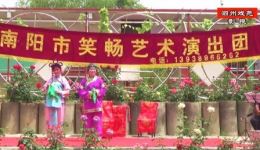 曲剧《小姑贤》下部全集下载 - 经典家庭伦理戏曲资源