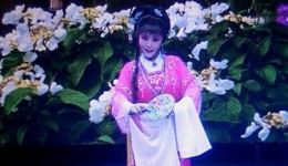 扬剧《恩仇记》1-3场高清资源下载|扬州扬子江三团演出,经典法治题材戏曲全剧精选 扬剧《恩仇记》1-3场高清资源下载|扬州扬子江三团演出,经典法治题材戏曲全剧精选