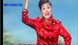 河南坠子《诸葛招亲》选段下载，莫红梅演唱经典三国姻缘故事下载