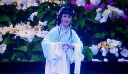 扬剧《恩仇记》8-10场高清资源下载,扬州扬子江三团实力演绎,经典戏曲不容错过 扬剧《恩仇记》8-10场高清资源下载,扬州扬子江三团实力演绎,经典戏曲不容错过
