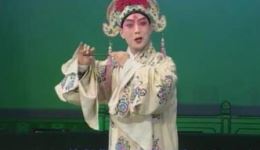 河北梆子经典《蝴蝶杯》田春鸟主演版本下载，非遗传承人演绎，重温传统戏曲魅力下载