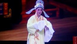 春归燕