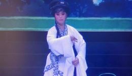 春归燕