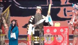 智收姜维