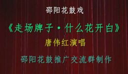 邵阳花鼓戏《走场牌子》唐伟红演唱,经典唱段在线观看下载 邵阳花鼓戏《走场牌子》唐伟红演唱,经典唱段在线观看下载