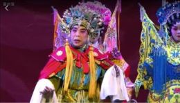 杨门女将