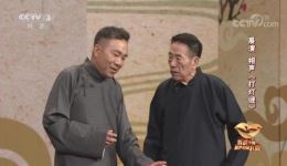 相声《打灯迷》杨议杨少华表演，传统经典灯谜相声在线下载下载