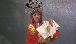 阴阳扇