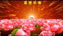 闽剧《富贵长春》在线观看清朝末年林家悲欢离合,演绎人性与社会百态 闽剧《富贵长春》在线观看清朝末年林家悲欢离合,演绎人性与社会百态
