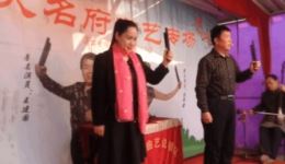 罗元征南