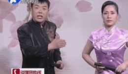 罗元征南