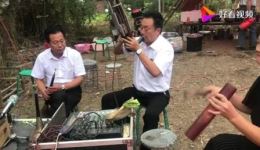 河南邓州民间唢呐吹奏《收姜维》,经典越调选段在线下载,传统戏曲视听盛宴