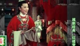 越剧经典《红楼梦》高清下载，徐玉兰王文娟主演，重温传世爱情悲剧下载