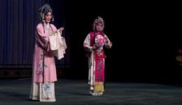 昆曲《牡丹亭》张子上主演,经典剧目在线下载,领略传统戏曲魅力 昆曲《牡丹亭》张子上主演,经典剧目在线下载,领略传统戏曲魅力