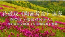 李荣红主演花鼓戏《陶澍算命·渔鼓道情调》全集在线观看 - 湖南特色戏曲下载