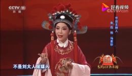 黄梅戏《女驸马》选段朱迅倾情演唱，韵味十足，高清戏曲资源下载下载