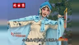 河北梆子《万花船》赵靖精彩片段在线观看，经典戏曲反串演绎