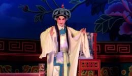 雷剧《义释血怨》林华平陈春燕主演，邓南妹黄排参演，经典雷剧在线下载