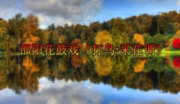 打鸟·采花调