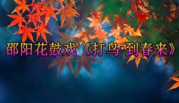 打鸟·到春来