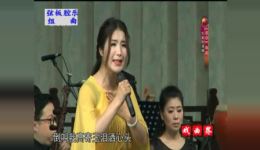 弦板腔乐组曲欣赏 - 陕西关中特色戏曲音乐在线聆听